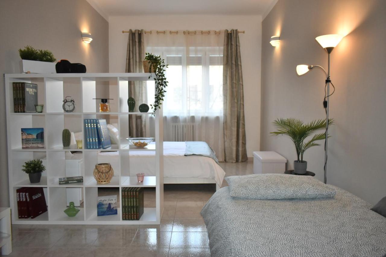 Apartment Casa Bramante - Comfort Moderno Tra Arena, Ospedali E Centro Turin